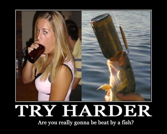 Bildschirmarbeiter - Picdump 30.05.08