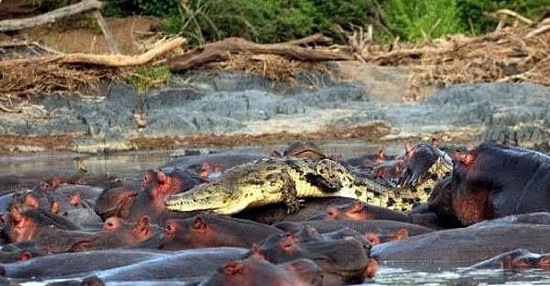 Bildschirmarbeiter - Picdump 30.05.08