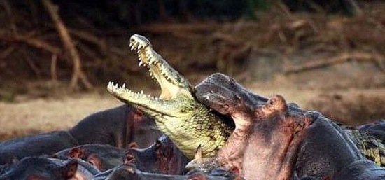 Bildschirmarbeiter - Picdump 30.05.08