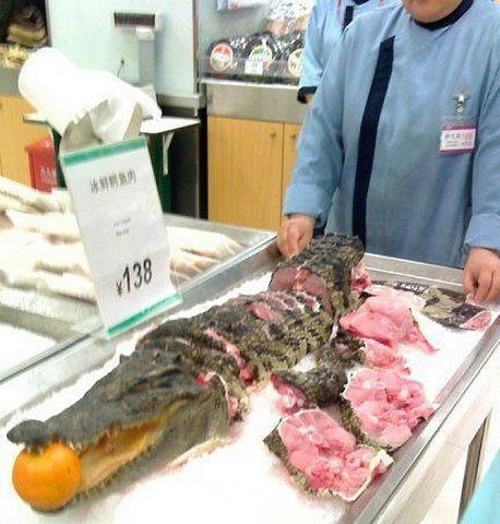 Bildschirmarbeiter - Picdump 30.05.08