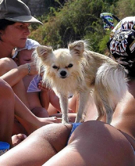 Bildschirmarbeiter - Picdump 30.05.08