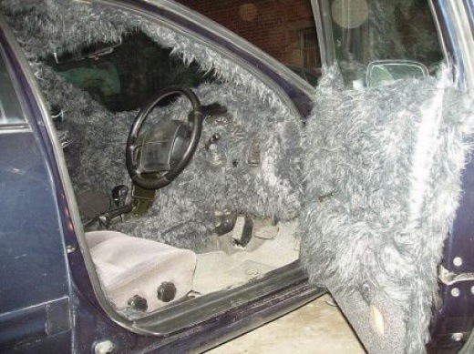 Bildschirmarbeiter - Picdump 06.06.08