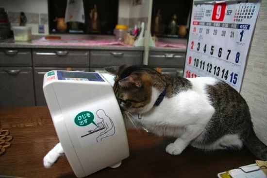 Bildschirmarbeiter - Picdump 20.06.08