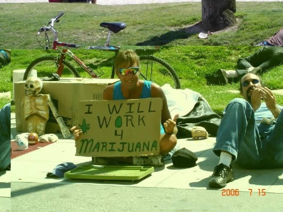 Bildschirmarbeiter - Picdump 20.06.08