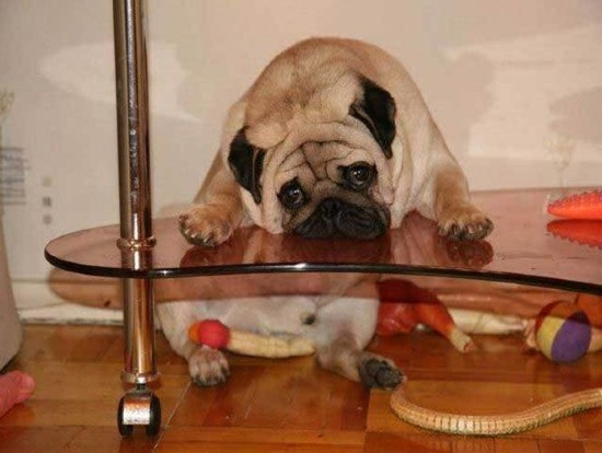 Bildschirmarbeiter - Picdump 20.06.08