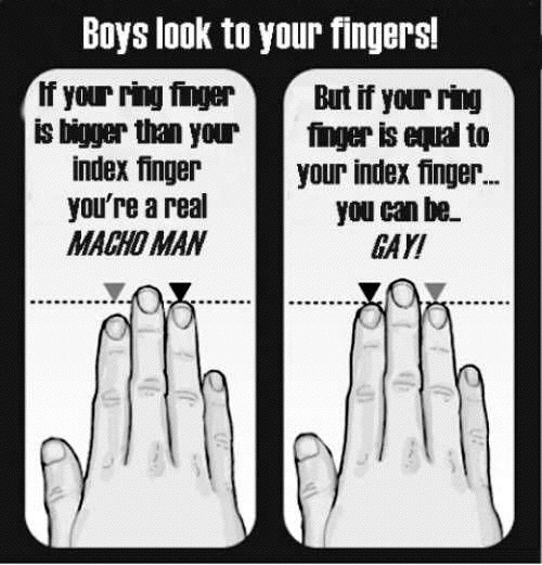 Bildschirmarbeiter - Picdump 20.06.08