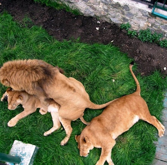 Bildschirmarbeiter - Picdump 20.06.08