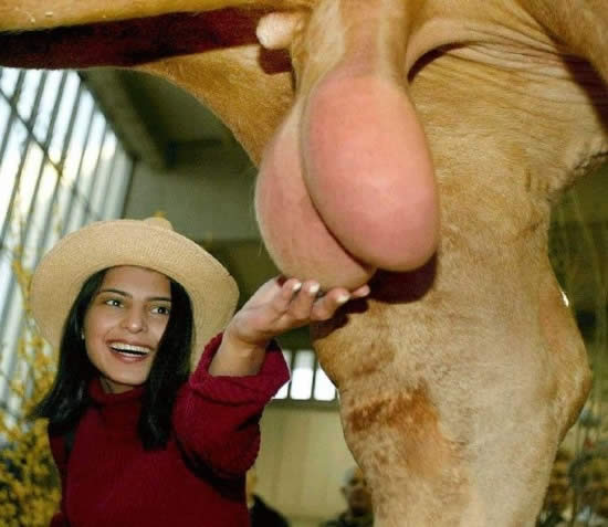 Bildschirmarbeiter - Picdump 04.07.08