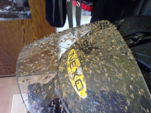 Bildschirmarbeiter - Picdump 04.07.08