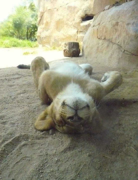 Bildschirmarbeiter - Picdump 04.07.08