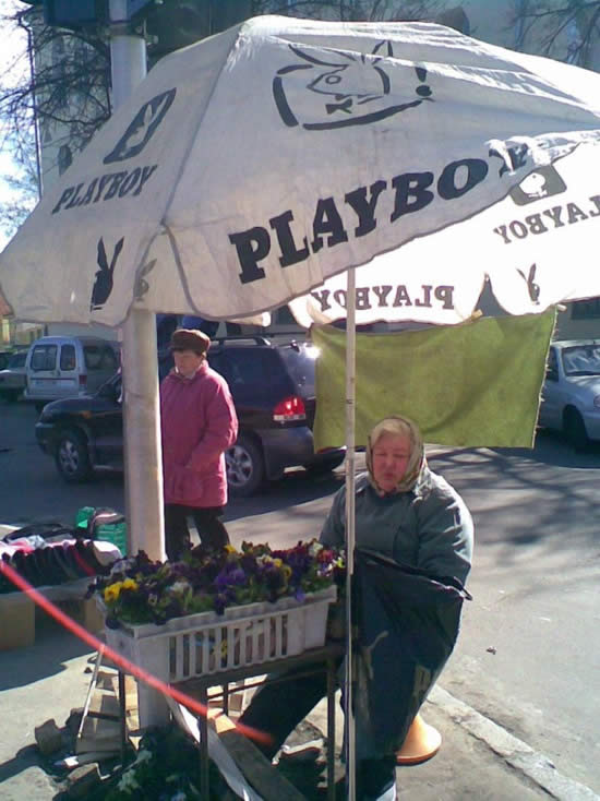 Bildschirmarbeiter - Picdump 01.08.08