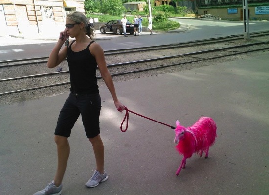 Bildschirmarbeiter - Picdump 08.08.08