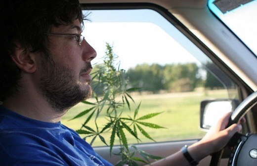 Bildschirmarbeiter - Picdump 08.08.08