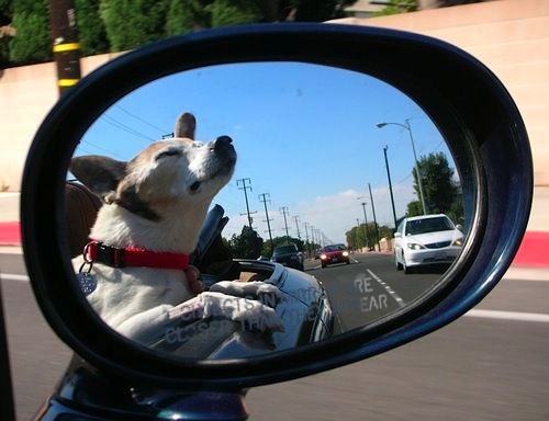 Bildschirmarbeiter - Picdump 22.08.08