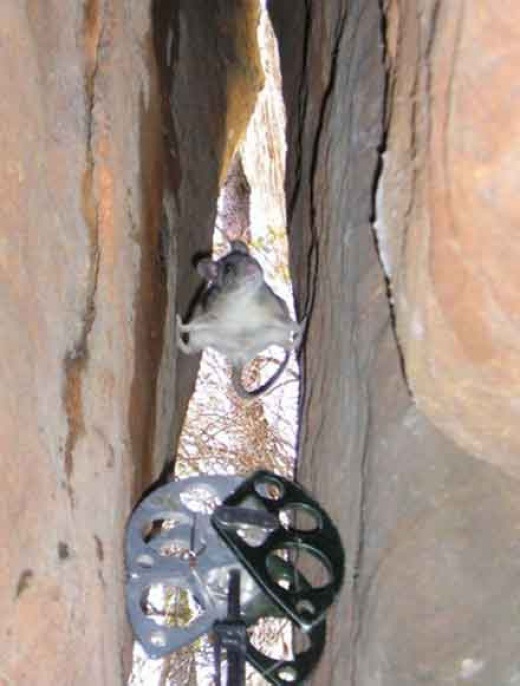 Bildschirmarbeiter - Picdump 22.08.08