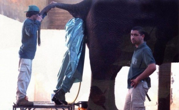 Bildschirmarbeiter - Picdump 03.10.08