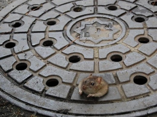 Bildschirmarbeiter - Picdump 17.10.08