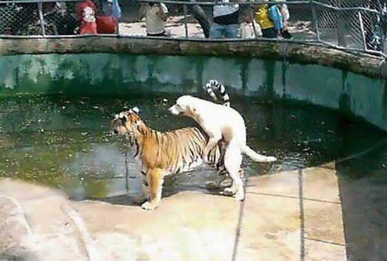 Bildschirmarbeiter - Picdump 17.10.08