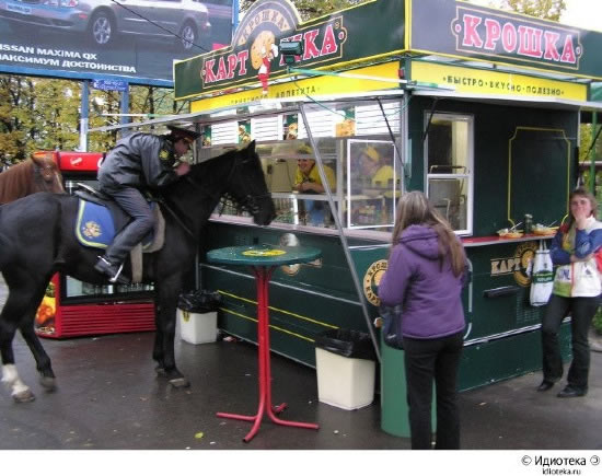 Bildschirmarbeiter - Picdump 17.10.08