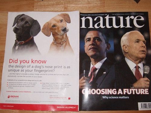 Bildschirmarbeiter - Picdump 17.10.08