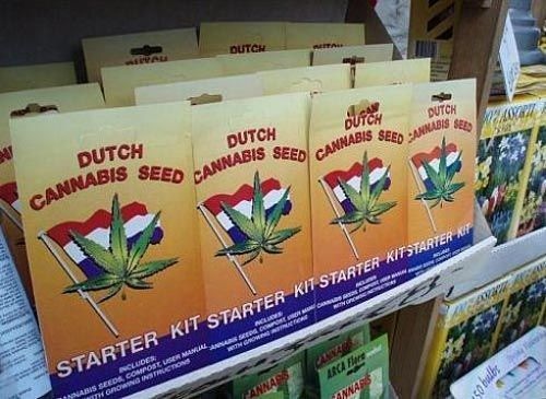 Bildschirmarbeiter - Picdump 24.10.08