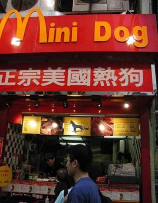 Bildschirmarbeiter - Picdump 24.10.08