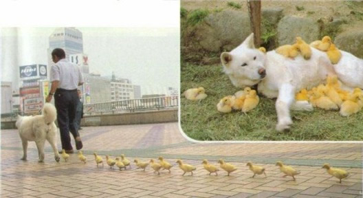 Bildschirmarbeiter - Picdump 24.10.08