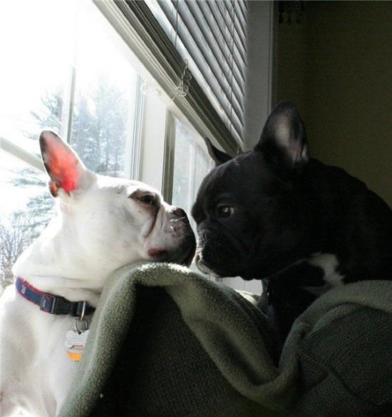 Bildschirmarbeiter - Picdump 24.10.08