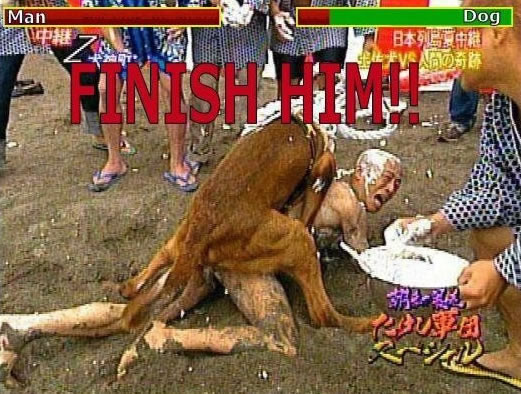 Bildschirmarbeiter - Picdump 24.10.08