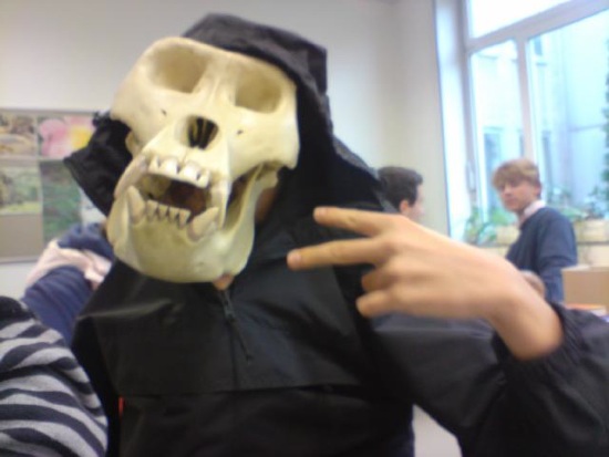 Bildschirmarbeiter - Picdump 07.11.08