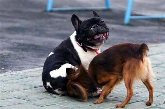 Bildschirmarbeiter - Picdump 22.11.08