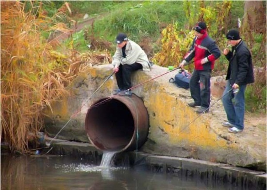 Bildschirmarbeiter - Picdump 22.11.08