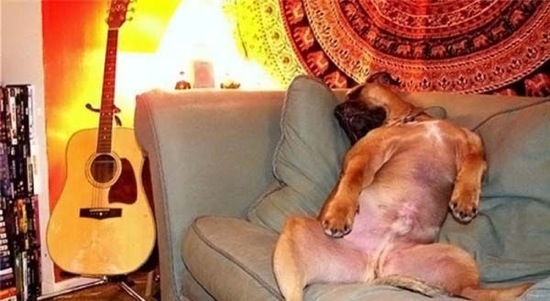 Bildschirmarbeiter - Picdump 22.11.08