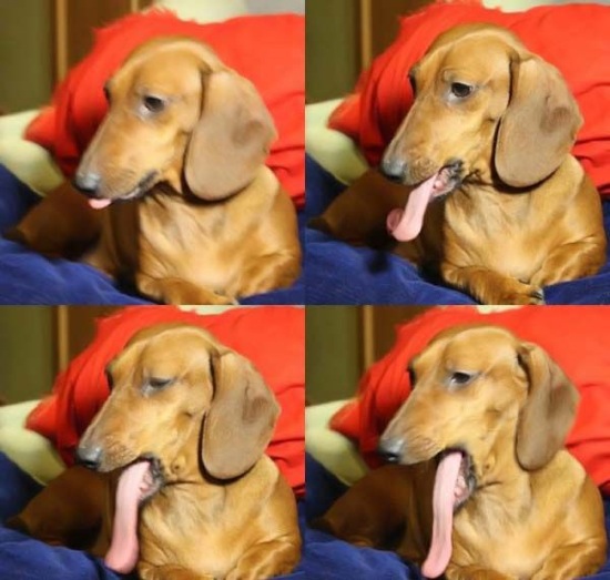 Bildschirmarbeiter - Picdump 28.11.08