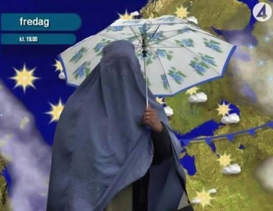 Bildschirmarbeiter - Picdump 28.11.08