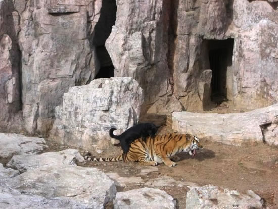 Bildschirmarbeiter - Picdump 28.11.08