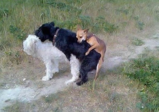 Bildschirmarbeiter - Picdump 28.11.08