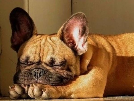 Bildschirmarbeiter - Picdump 28.11.08