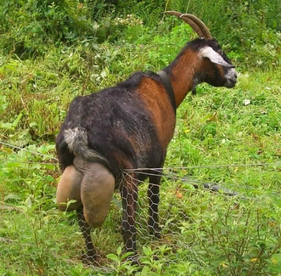 Bildschirmarbeiter - Picdump 28.11.08