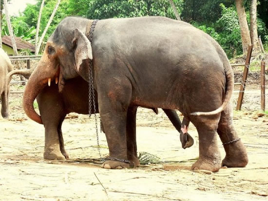 Bildschirmarbeiter - Picdump 28.11.08