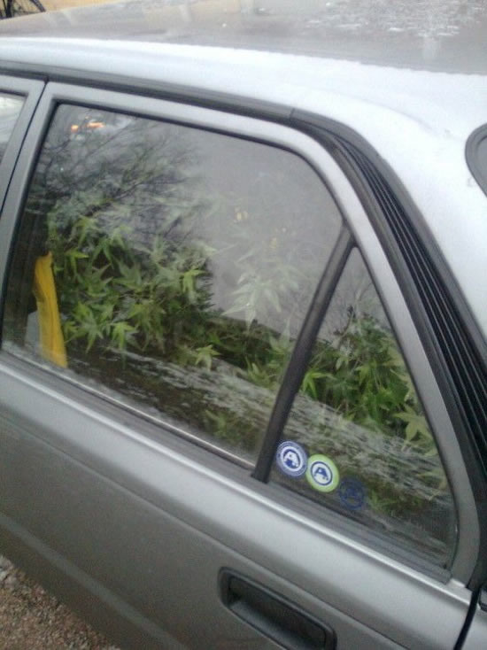 Bildschirmarbeiter - Picdump 19.12.08