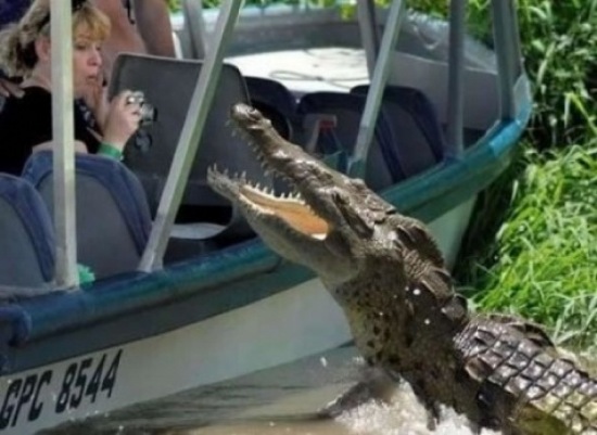 Bildschirmarbeiter - Picdump 19.12.08