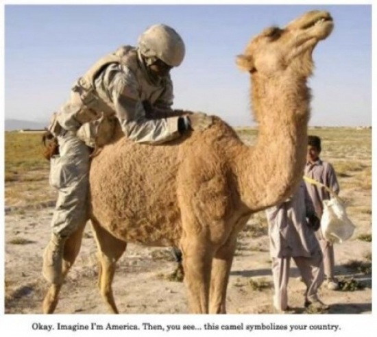 Bildschirmarbeiter - Picdump 19.12.08