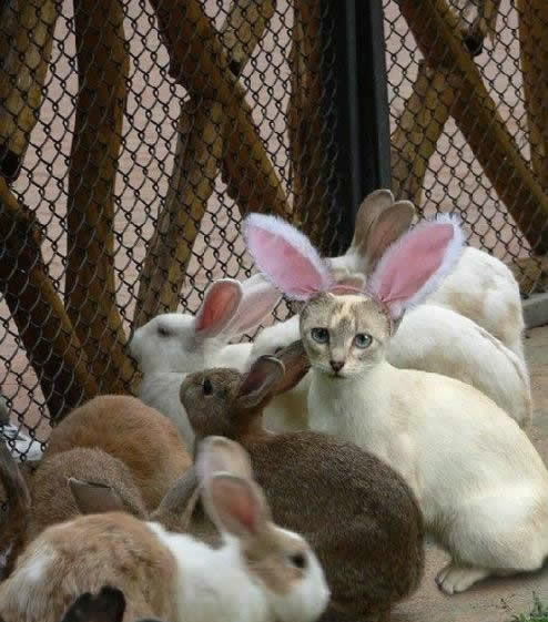 Bildschirmarbeiter - Picdump 19.12.08