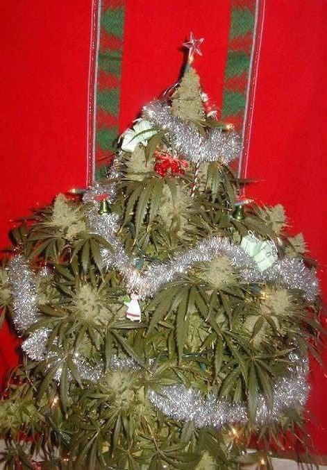 Bildschirmarbeiter - Picdump 19.12.08