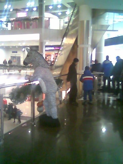 Bildschirmarbeiter - Picdump 16.01.2009