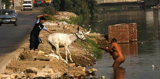 Bildschirmarbeiter - Picdump 16.01.2009