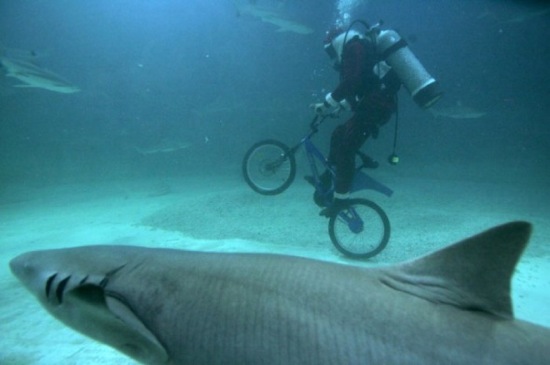 Bildschirmarbeiter - Picdump 16.01.2009