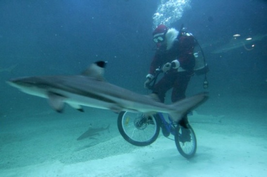 Bildschirmarbeiter - Picdump 16.01.2009