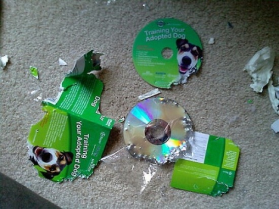 Bildschirmarbeiter - Picdump 16.01.2009